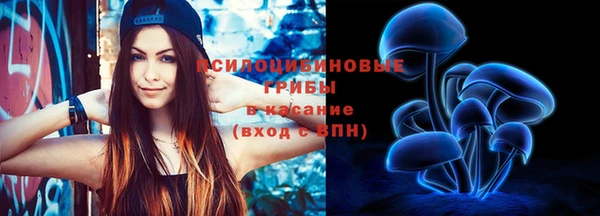 наркотики Богородицк