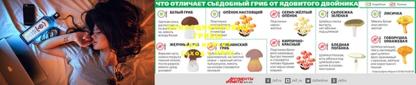 хмурый Богородск